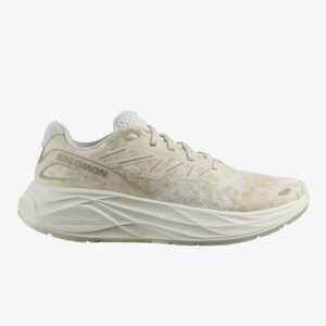 Salomon Aero Glide 2 shoes